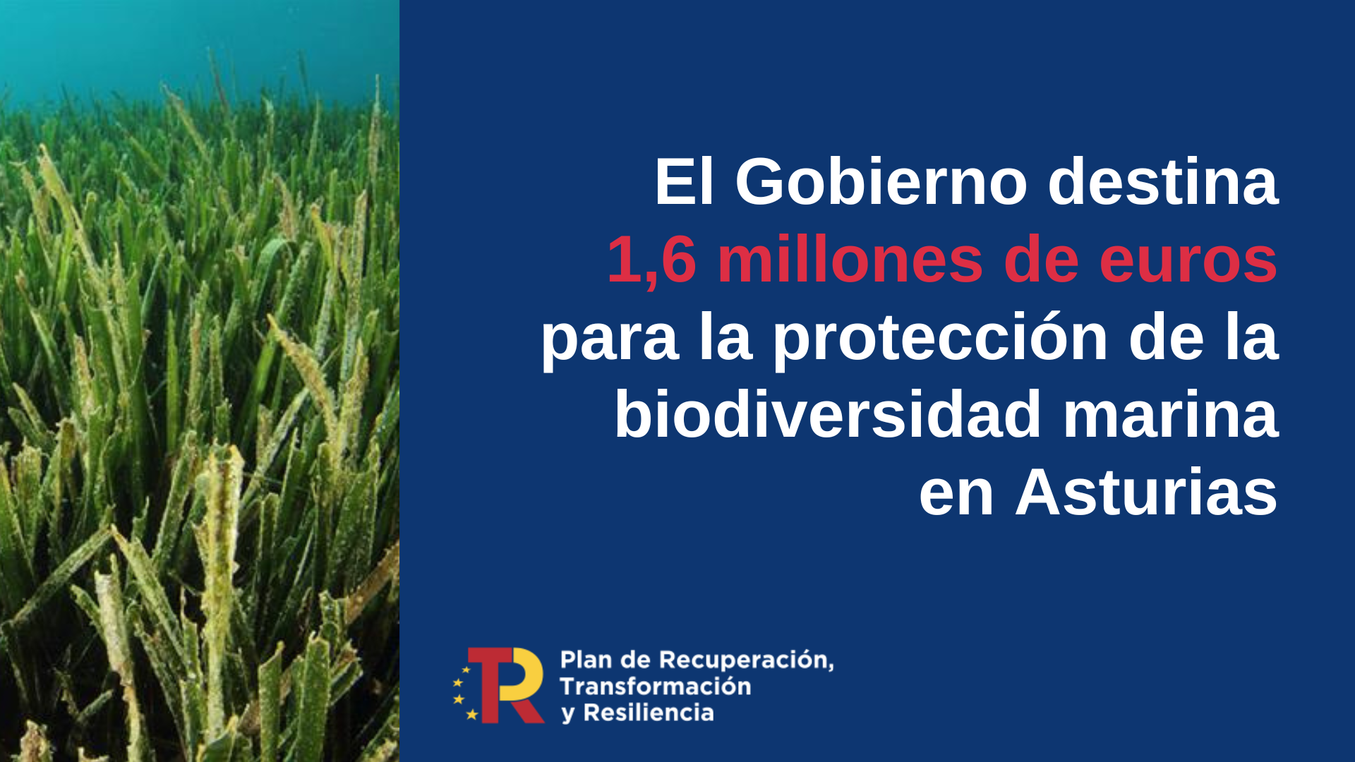El Gobierno destina más de 1,6 millones de euros a Asturias para la protección de la biodiversidad marina