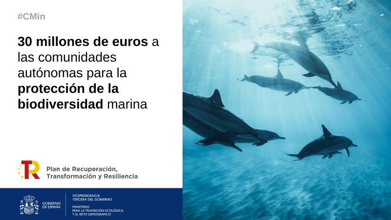 El Govern destina més de 4 milions d'euros a Catalunya per a la protecció de la biodiversitat marina