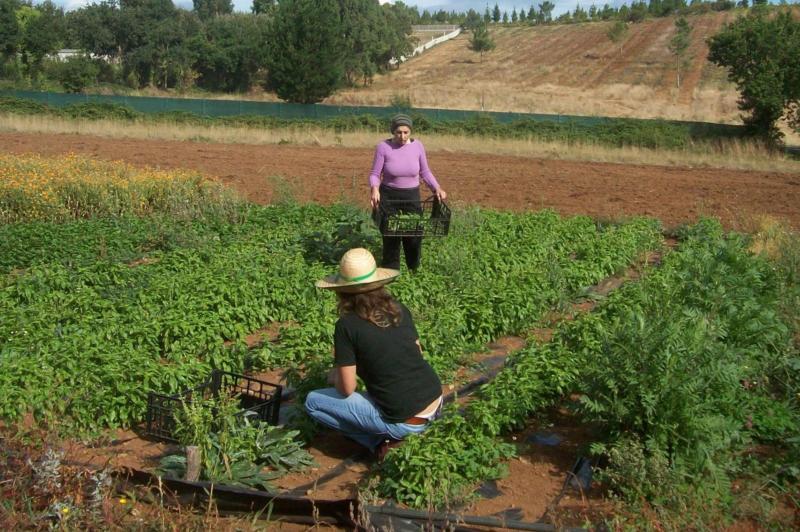 El Gobierno destina más de 30,4 millones de euros a Extremadura para sectores agrarios afectados por la guerra de Ucrania