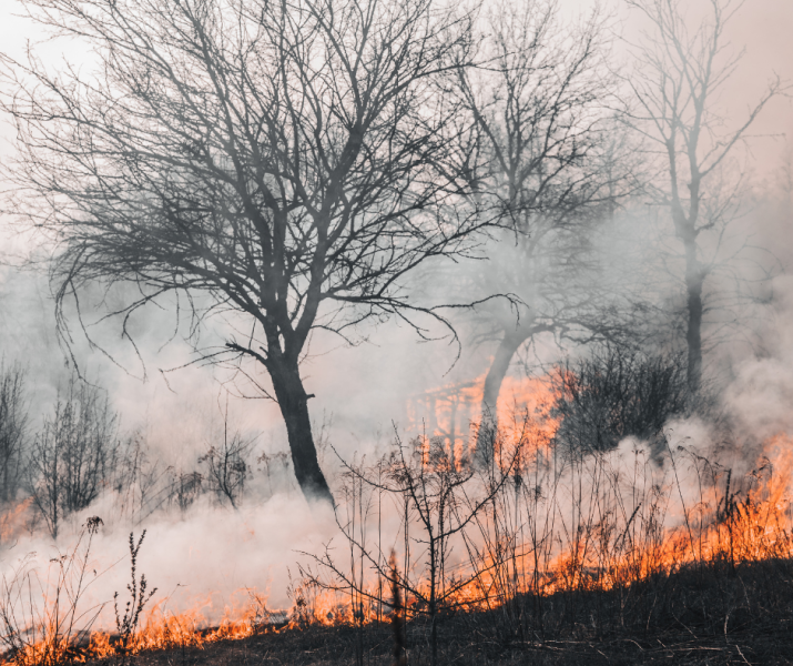El Gobierno de España incluye el incendio de julio en Alfaro dentro de las ayudas para paliar los daños y recuperar las zonas afectadas por los incendios forestales de este verano
