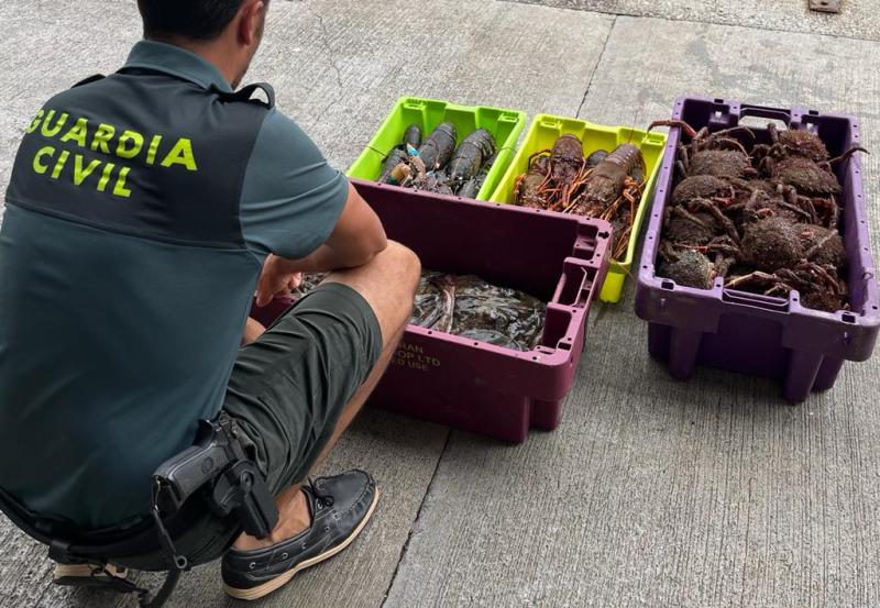 La Guardia Civil interviene 52 kilos de marisco no declarado por un pesquero en el puerto de Pasaia